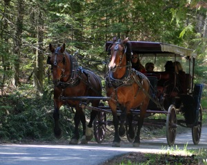Horse carriage on Mackinac Island